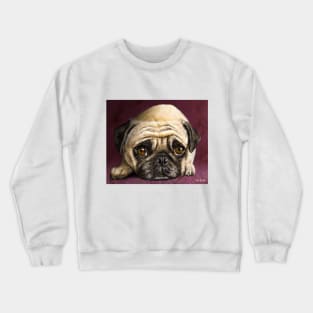 Digitally Painted Pug Portrait on a Purple Background Crewneck Sweatshirt